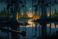 swamp-landscape-at-night-redwood-trees-9