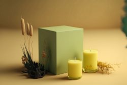 plain-light-pastel-yellow-background-green-candle-on-box-2-candles-set-in-glass