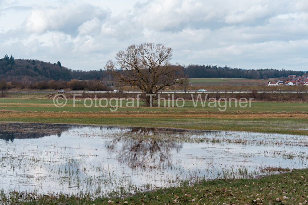 Reflection of a tree in a flooded meadow in spring in Bavaria, Germany