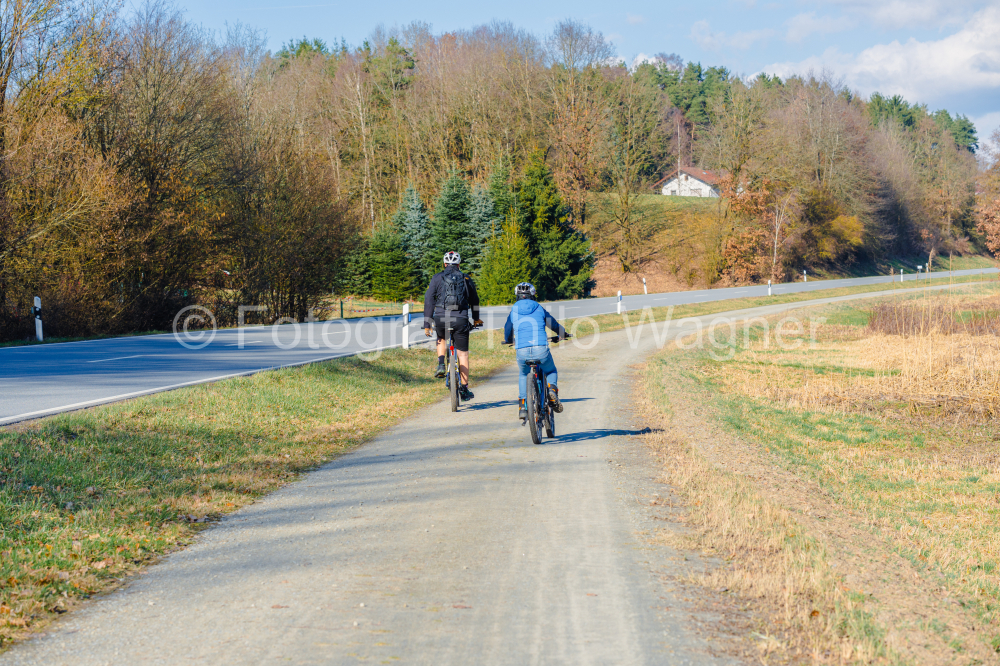 Cyclists on a country road in the autumnal park.