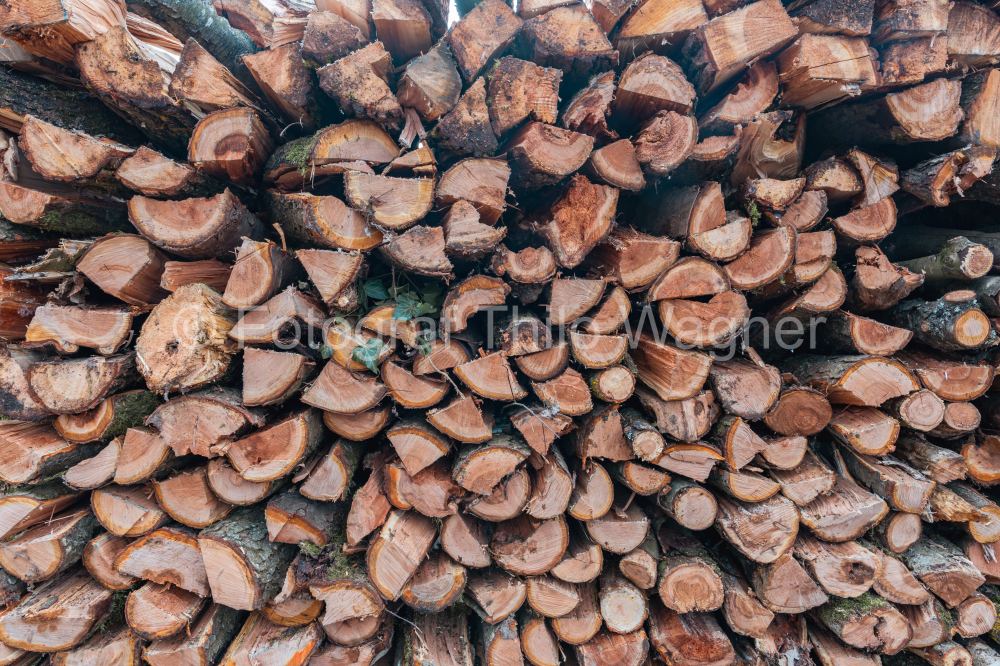 Pile of firewood in the forest, chopped firewood background
