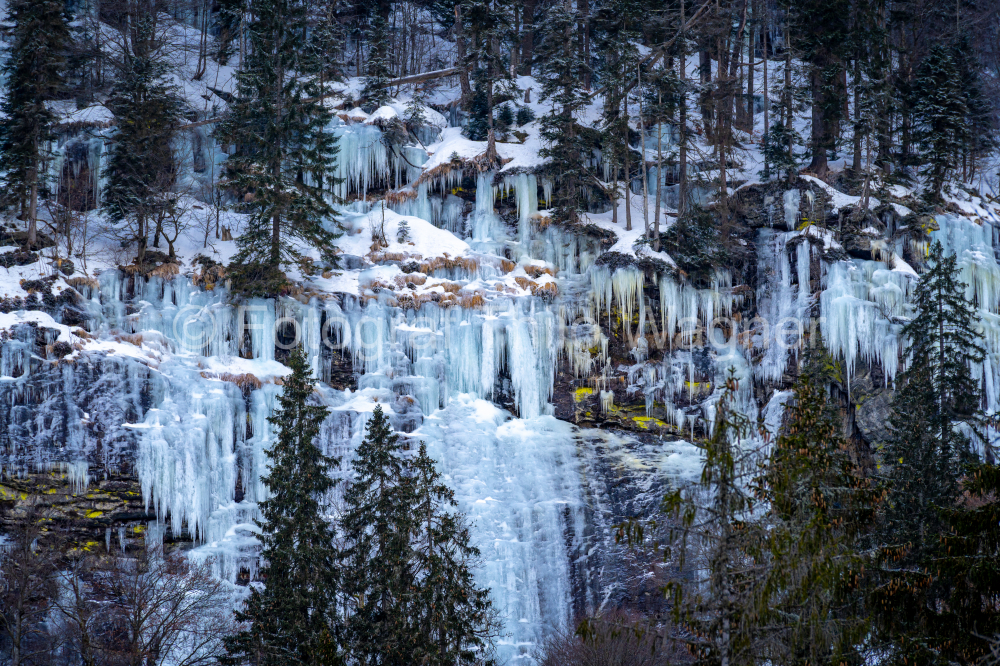 Wunderschöner Winterwald mit Eiszapfen und Schnee am Berg im Bayerischen Wald am Großen Arbersee. Konzept für Natur, Tourismus und Reisen in Bayern, Deutschland