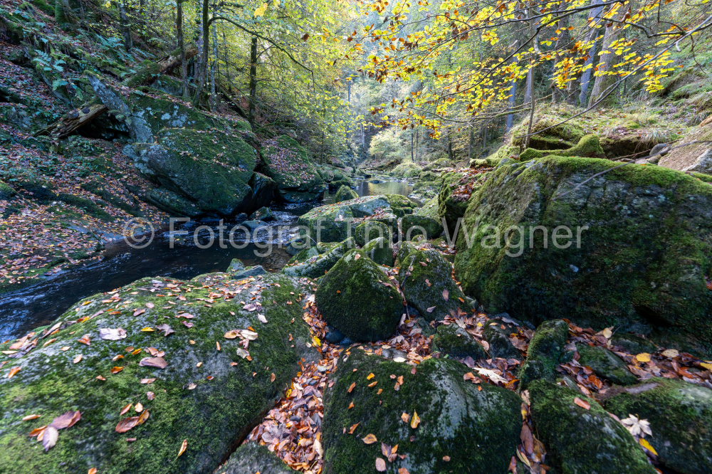 Buchberger Leite Wildbachklamm im Bayerischer Wald Deutschland