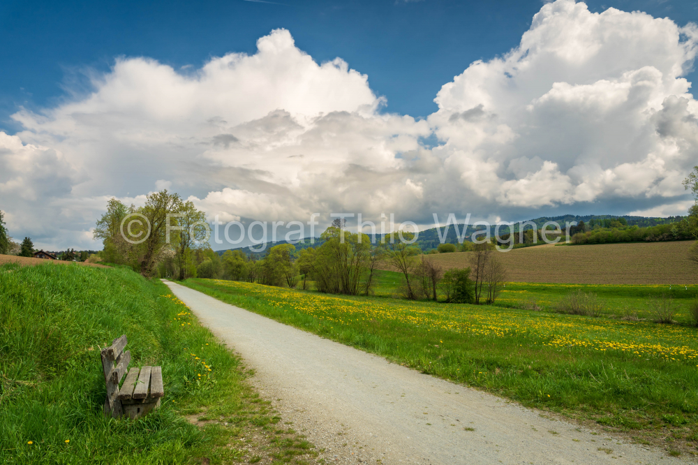 Wünderschöne Frühlingslandschaft mit blühenden Wiesen, blauem Himmel und weißen Wolken in Bayern Deutschland.