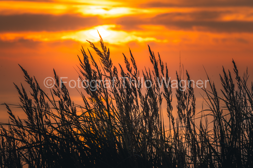 Sonnenuntergang am Ostseestrand Sellin auf der Insel Rügen in Mecklenburg-Vorpommern