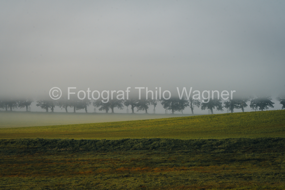 Morgenstunde mit Nebel und Sonnenaufgang auf der Insel Rügen, Mecklenburg-Vorpommern, Deutschland
