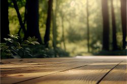 light-coloured-laminate-floor-in-front-blurred-forest-background-in-back-2