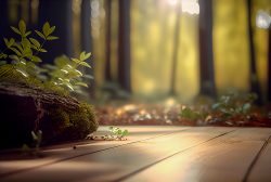 light-coloured-laminate-floor-in-front-blurred-forest-background-in-back-6