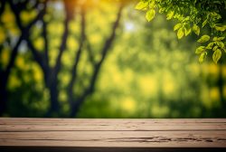 empty-old-wooden-table-and-blurred-spring-young-foliage-background-empty-table-for-product-display-template-2