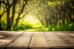 empty-old-wooden-table-and-blurred-spring-young-foliage-background-empty-table-for-product-display-template-3