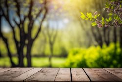 empty-old-wooden-table-and-blurred-spring-young-foliage-background-empty-table-for-product-display-template-4
