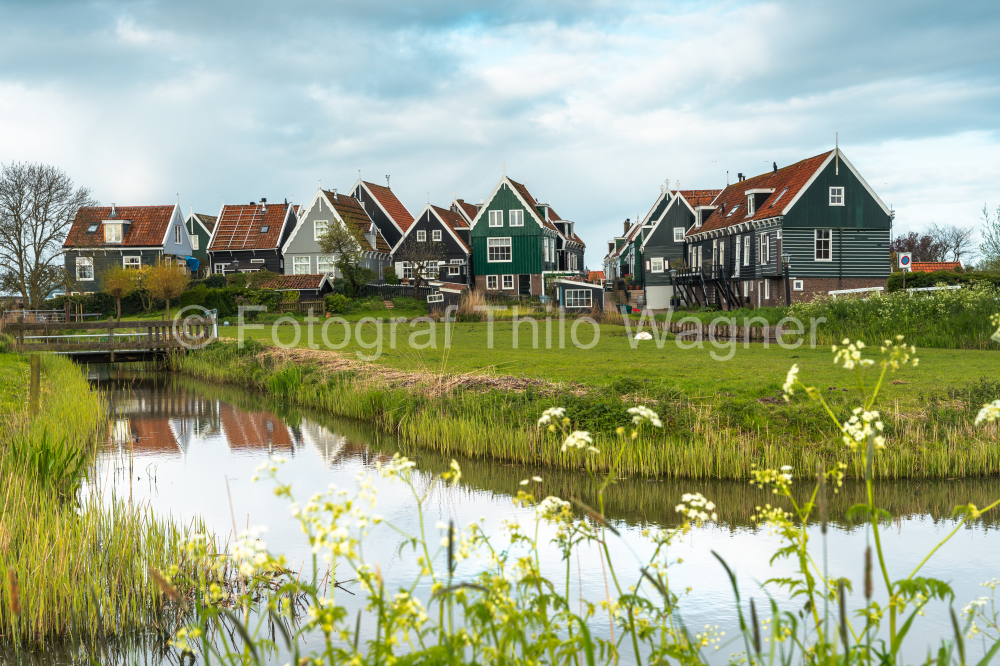 Panorama landscape with traditional houses near Marken on the IJsselmeer in the Netherlands. Municipality of Waterland in the province of North Holland.