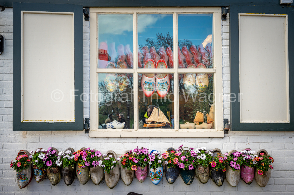 Old traditional wooden shoes with blooming flowers in spring in Marken, Netherlands