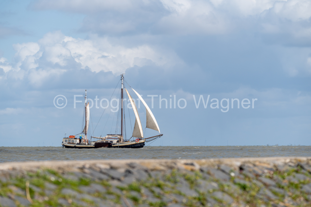 Sailing ship on the sea in spring near Marken, Waterland, North Holland, Netherlands