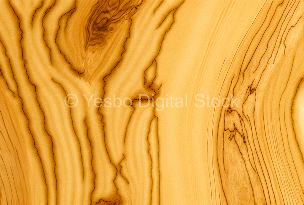 hard-maple-repeating-wood-grain-texture-8
