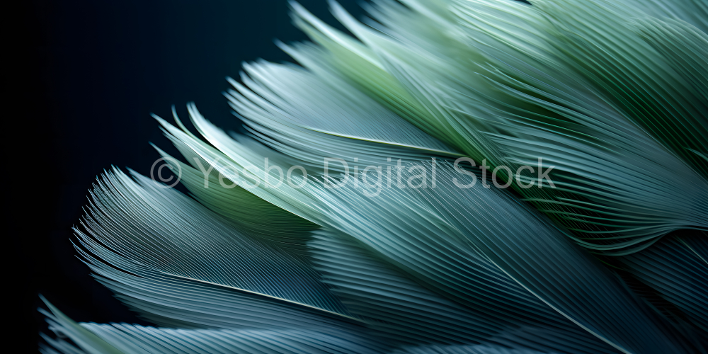 Macro shot of green feathers on a black background. Close up.
