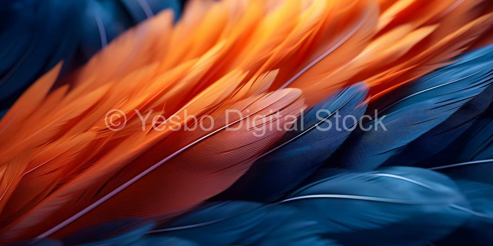 colorful feathers as a background, close-up, macro photo