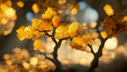 spectacular-and-realistic-closeup-of-golden-leaves-on-the-tree-3d-digital-rendering-4