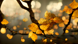 spectacular-and-realistic-closeup-of-golden-leaves-on-the-tree-3d-digital-rendering-6